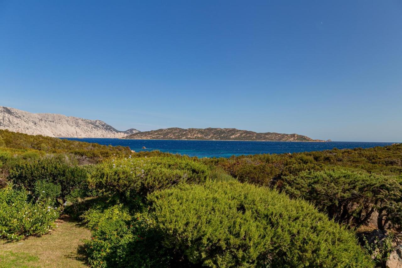 Appartamento Cala Paradiso Сан-Теодоро Екстер'єр фото